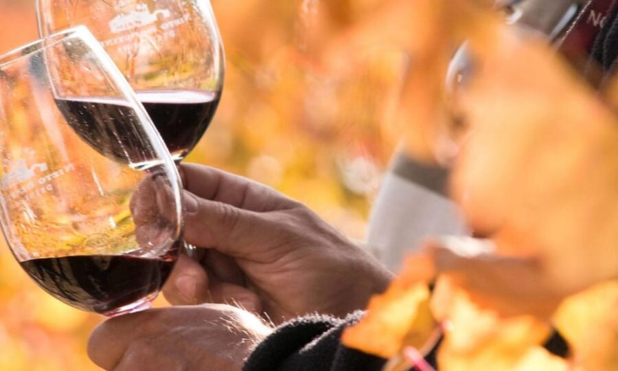 Lisbon Wine Tasting - A classic Lisbon wine house, with a clear tasting format