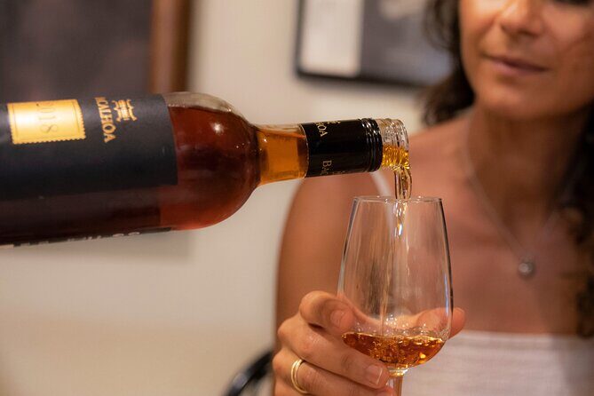 Lisbon's authentic Food and Wine tour with a Winemaker - What you’ll actually eat and drink: wines plus 11 petiscos