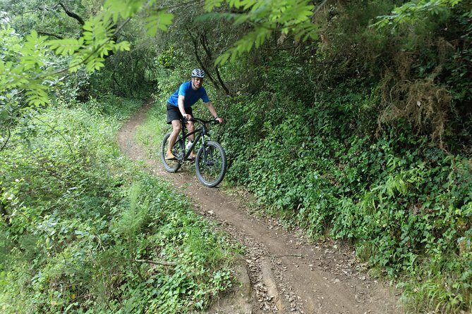 Lizandro Trails - Mountain Biking - Lizandro Trails in Ericeira: A Real MTB Ride, Not a Demo Spin