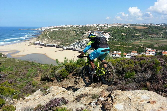 Lizandro Trails - Mountain Biking - The Cafe Stop: Short Recharge, Real Momentum
