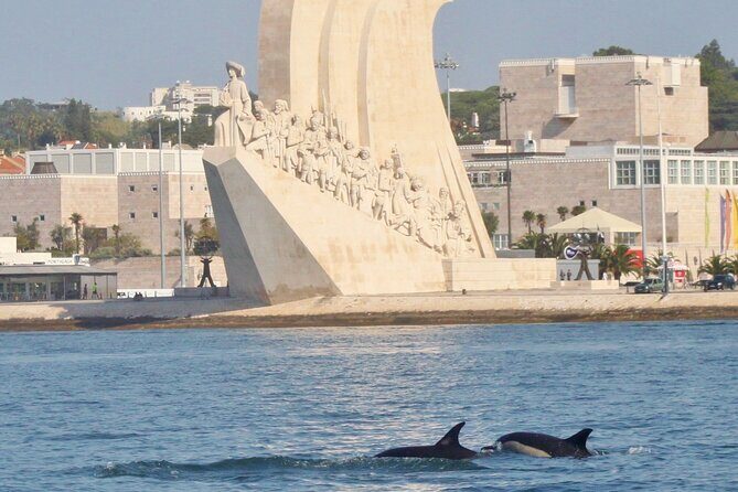 Meet the Lisbon Dolphins - Dolphin Watching in Lisbon - The dolphin search plan: Tagus, then out to the open sea