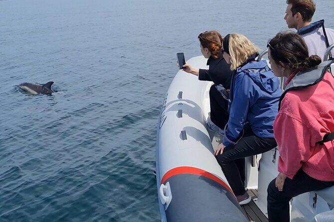 Meet the Lisbon Dolphins - Dolphin Watching in Lisbon - Landmark pass-by time: Torre de Belém to MAAT (views only)