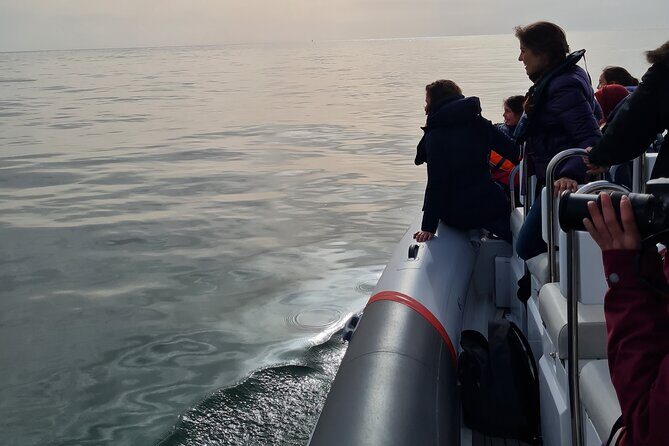 Meet the Lisbon Dolphins - Dolphin Watching in Lisbon - Tips to stay comfortable (and actually enjoy the wind)