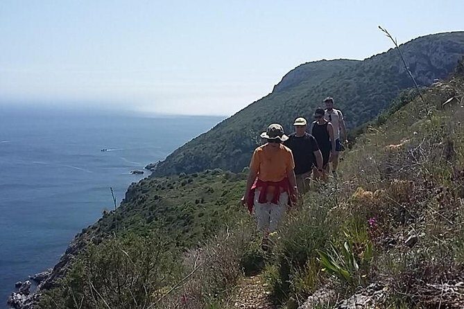 Mindful Coastal Hike in Arrabida – Secret Beach by the Atlantic - Transport value: why pickup and drop-off are more than convenience