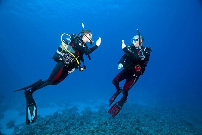 My first scuba experience in the Ocean - Key things that make this SCUBA experience work