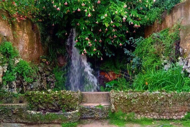 Mystery of Sintra For History With Legends and Secret Societies - Price and pace for a 1 hour 40 minute to 2 hour route