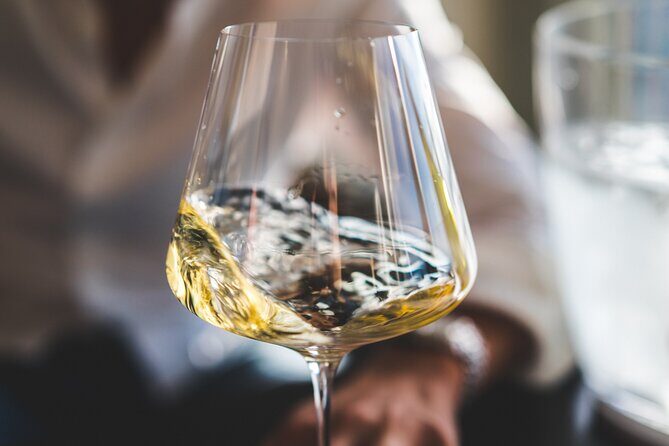 Non-Alcoholic Wine Tasting with an Expert - Lisbon’s wine culture, minus the alcohol: how this tasting feels