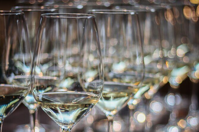 Non-Alcoholic Wine Tasting with an Expert - Aperitif to last sip: the exact flow of the tasting