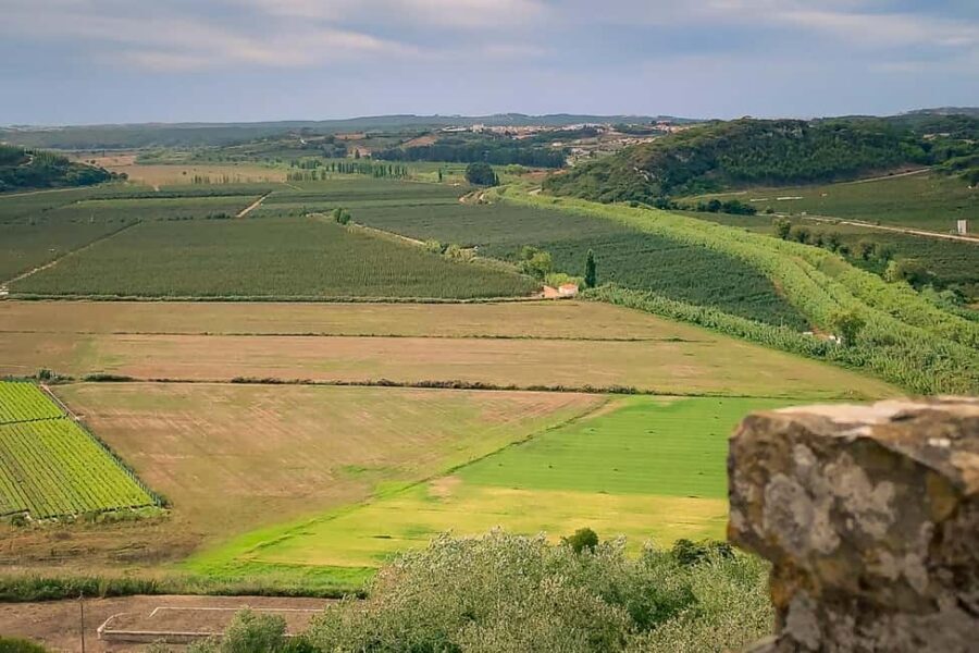 Óbidos: Flexible Walking Tour in Medieval Town - Municipal Museum: Context for the Town You’re Walking Through