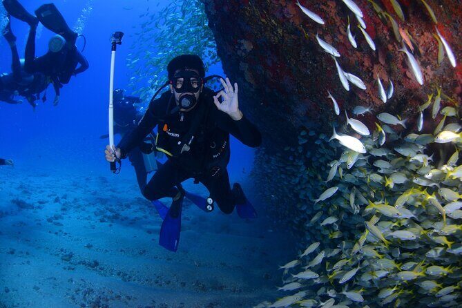 Open Water Diver Course in Arrabida Natural Park (Near Lisbon) - SSI Open Water Diver in 3 days: what you’ll actually learn