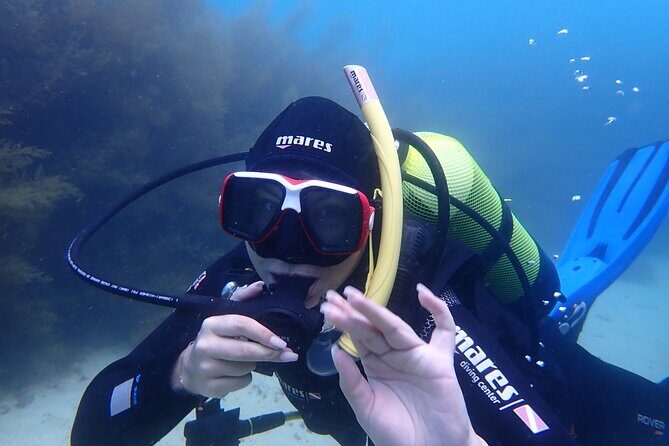 Open Water Diver Course in Arrabida Natural Park (Near Lisbon) - Small-group attention (up to 8): why it’s great value