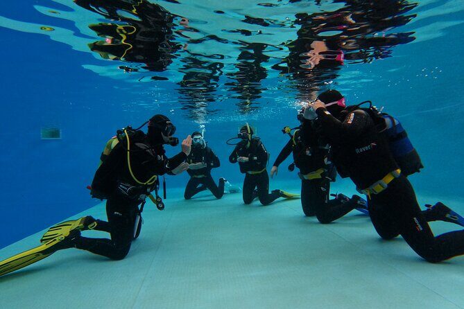 Open Water Diver Course in Arrabida Natural Park (Near Lisbon) - The instructor team: patient, professional, and real-deal safety