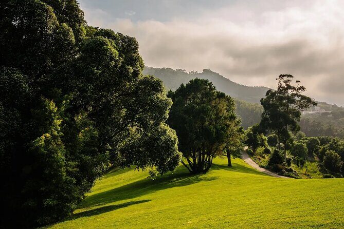 Park and Palace of Monserrate - Key highlights you’ll actually feel