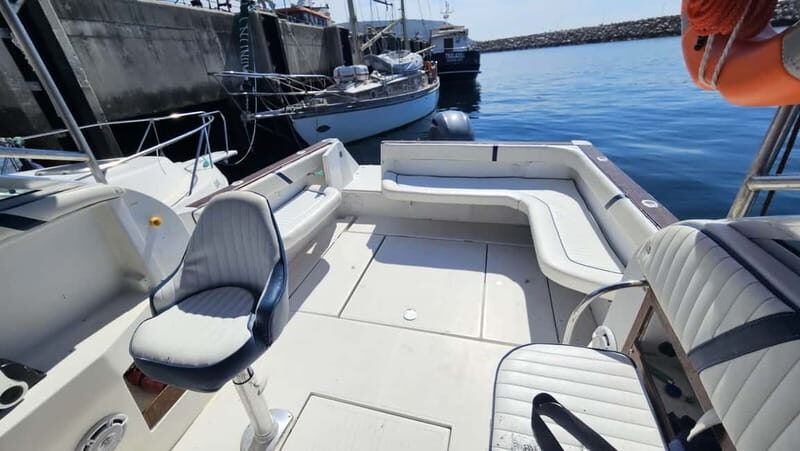 Passeio de Barco em Sesimbra (Publico/Compartilhado) - Key highlights you’ll feel on the water