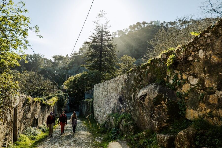 Pena Palace, Moorish Castle,Quinta ad Regaleira:Walking tour - Key Things to Know Before You Go