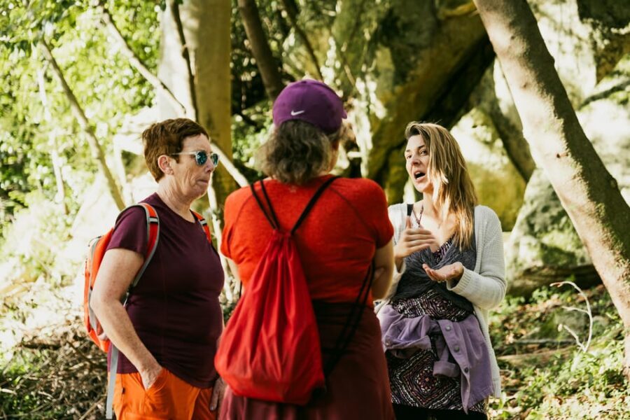 Pena Palace, Moorish Castle,Quinta ad Regaleira:Walking tour - Centro Histórico: A 1-Hour Orientation That Pays Off