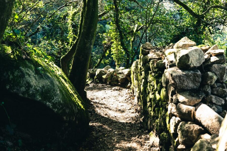 Pena Palace, Moorish Castle,Quinta ad Regaleira:Walking tour - Guided Moorish Castle Visit: Portuguese-Arabic Heritage in Plain Words