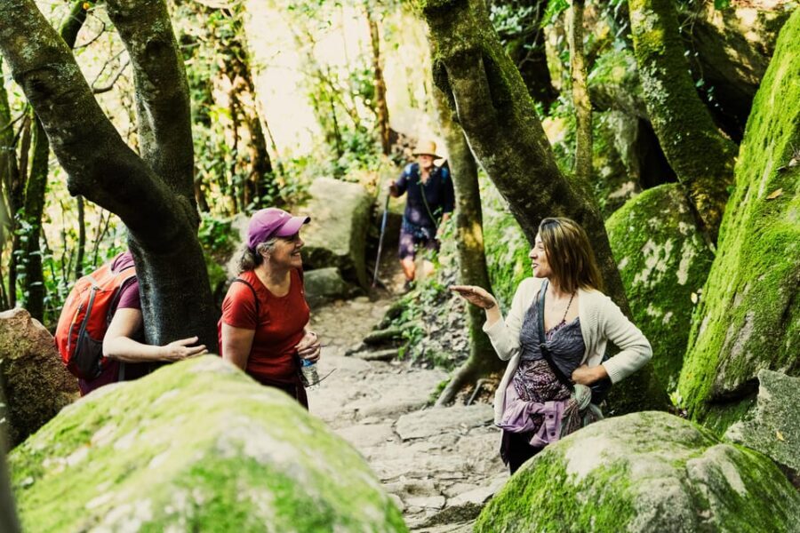Pena Palace, Moorish Castle,Quinta ad Regaleira:Walking tour - Pena Palace: Romantic Architecture and Why It Changed Sintra