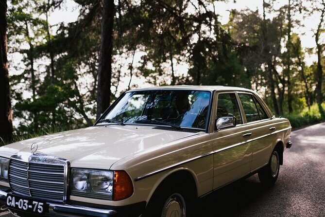 Pena Palace & Sintra Full Day -Private Tour in Classic Car - Quinta da Regaleira or Monserrate: choose your vibe