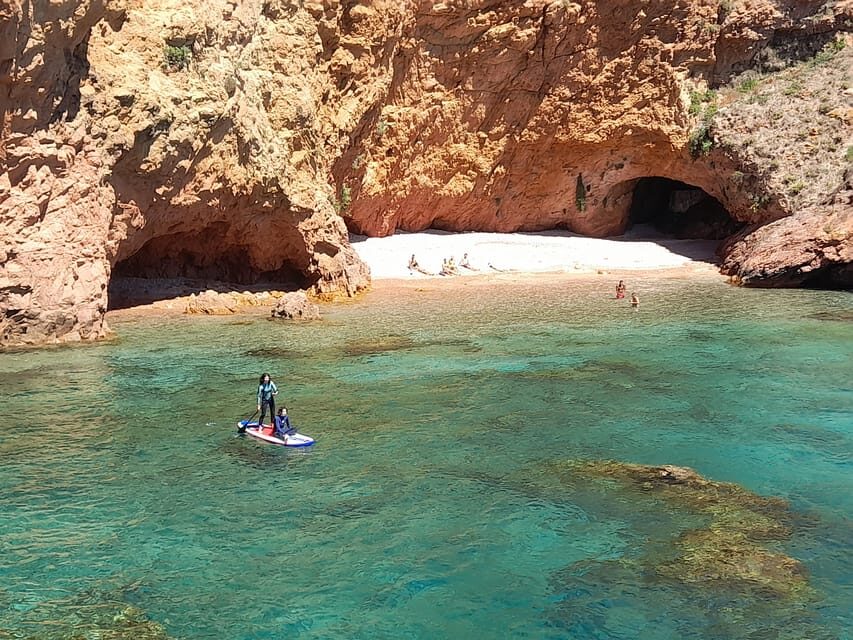 Peniche: Berlengas Island Catamaran Tour + Stand Up Paddle - Catamaran to the archipelago: comfort, views, and dolphin spotting