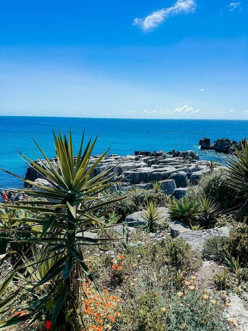 Peniche Private Walking Tour + Tasting | Trails & Nature - Fortress History That Feels Personal in the Streets