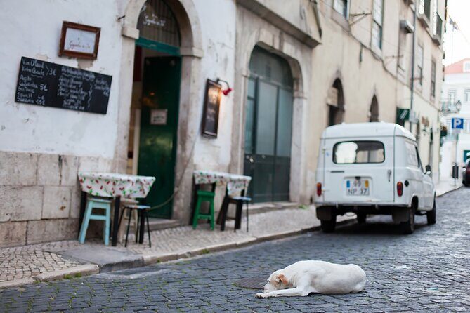 Photography Workshop-Tour in Alfama - Lisbon - Group Size, Pace, and How to Prep Your Feet