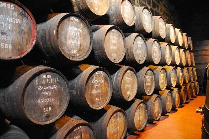Porto Private Tour from Lisbon - Key points worth knowing before you go