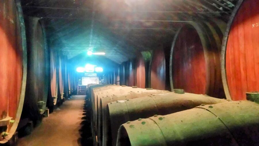Portuguese Wine History & Amazing Landscape - Key Highlights You’ll Care About