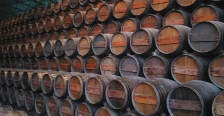 Portuguese Wine History & Amazing Landscape - Arrábida National Park and Portinho Beach: The Coast Break You Came For