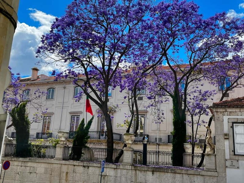 Лиссабон: сверху вниз под правдивые и вымышленные истории - Baixa de Lisboa and Rua da Prata: Where Navigation Becomes Easy