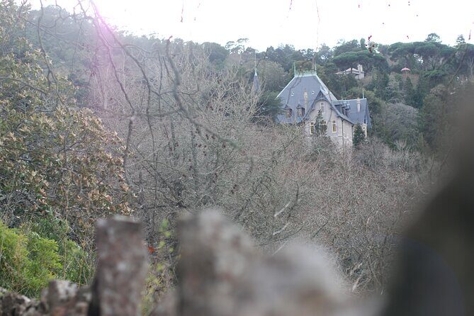Private 1 hour and half Sintra Guided Tour - Biester Chalet in Pena Park: Swiss Chalet Meets Moorish Style