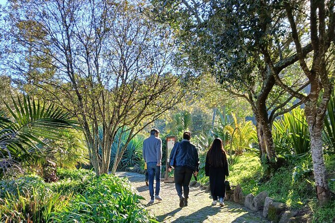 Private Chilled Daytrip to Sintra - Who this Sintra daytrip suits best