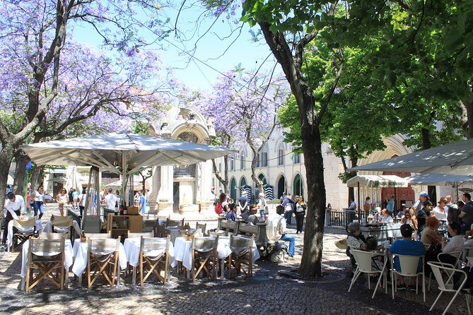 Private City Tour Lisbon Fundamental - Price, pace, and who this private tour is for