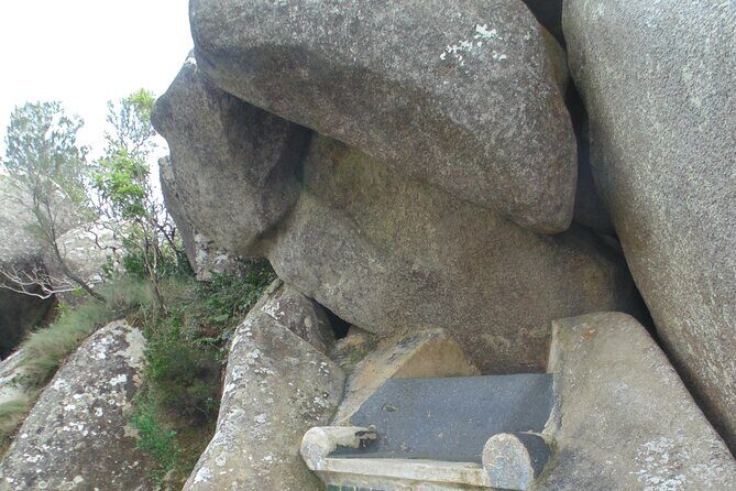 Private Day Tour from the Centre to the Highest Point in Sintra. - The Climb to Pena Park: Real Effort, Real Reward