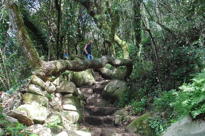 Private Day Tour from the Centre to the Highest Point in Sintra. - Pena Park at 88 Hectares: Microclimates and Wildlife