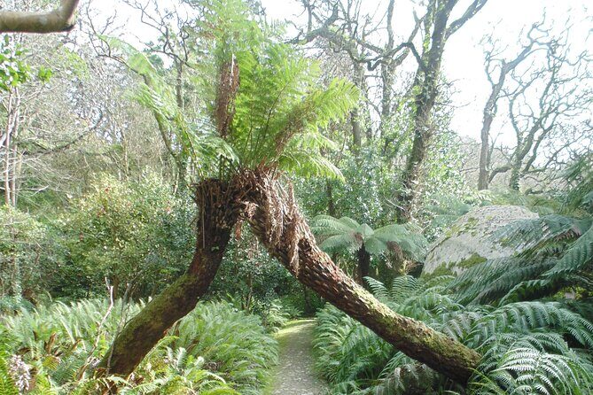 Private Day Tour from the Centre to the Highest Point in Sintra. - High Cross: The Highest Point in Sintra