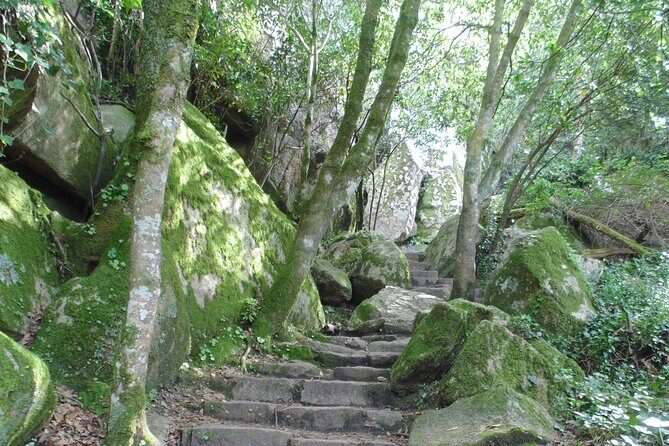 Private Day Tour from the Centre to the Highest Point in Sintra. - Pena Palace Exterior, Chapel Visit, and a Needed Recharge
