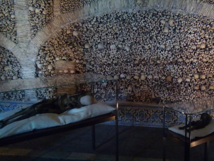 Private day tour to Évora: cork, factory, winery & the city - Key things I’d plan around