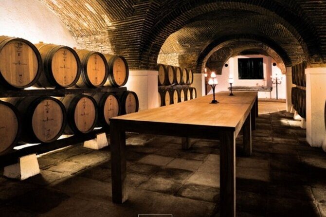 Private Evora Heritage and Alentejo Wine Tour from Lisbon - Alentejo wineries: how the schedule works (and what’s really included)