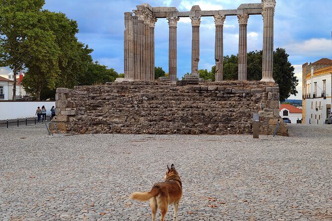 Private Évora Tour - Megaliths, Historical Center and Cork Region - Stop 3: Templo Romano de Évora (Templo de Diana) in 15 minutes