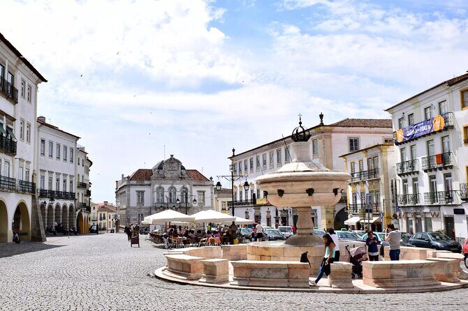 Private Évora Tour With Wine Experience and Wine Tasting - How the private transport and timing actually feel