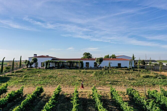 Private Full-Day Alentejo Wine Tour - Key highlights at a glance