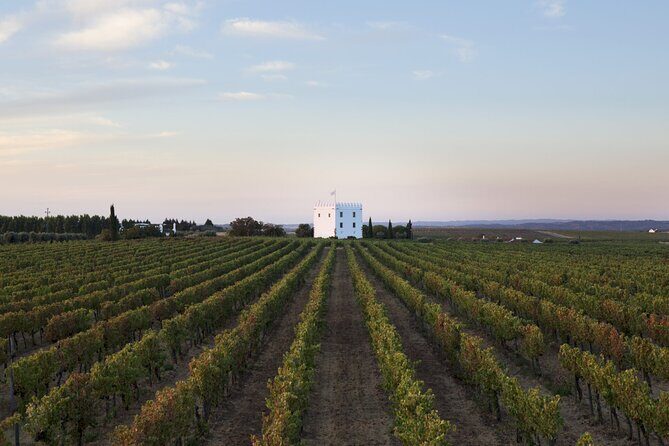 Private Full-Day Alentejo Wine Tour - Lisbon pickup to Alentejo: how the day flows