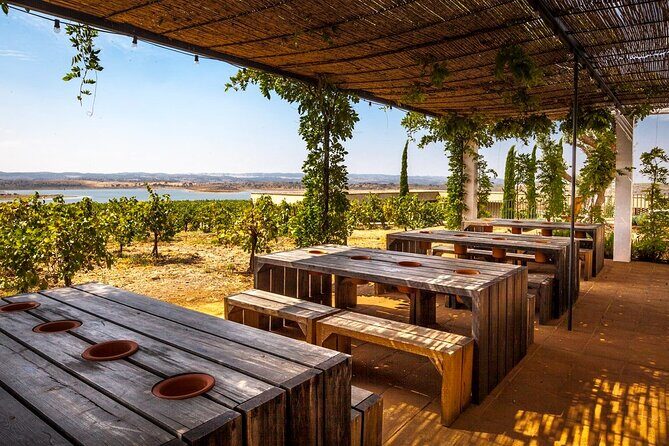 Private Full-Day Alentejo Wine Tour - Herdade do Esporão: a big Alentejo estate and a focused tasting
