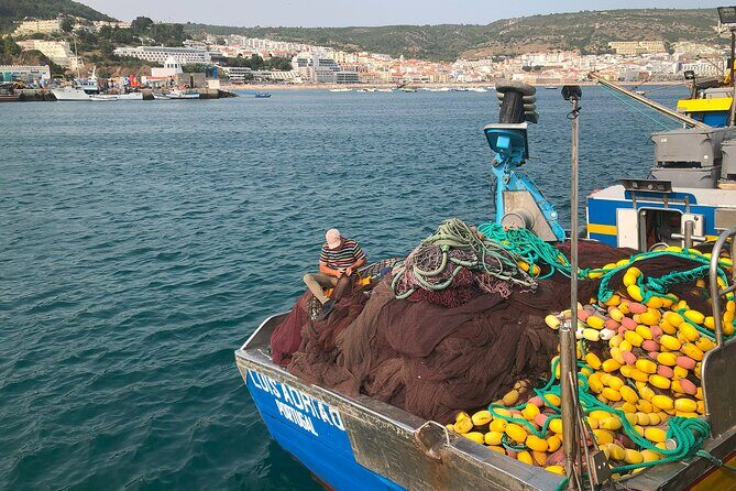 Private Half Day Arrabida Tour with Wine Tasting in Sesimbra - The optional hilltop swing and the finish
