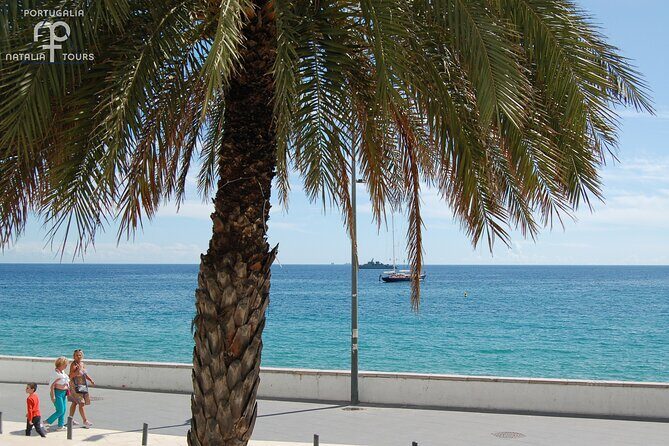 Private Half Day Arrabida Tour with Wine Tasting in Sesimbra - Private tour logistics that actually matter (pickup, English, weather)