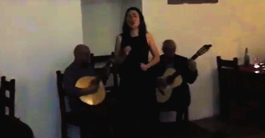 Private half-day Lisbon by Night Fado UNESCO Heritage &Views - The Fado dinner piece: how to budget and what makes it worth it