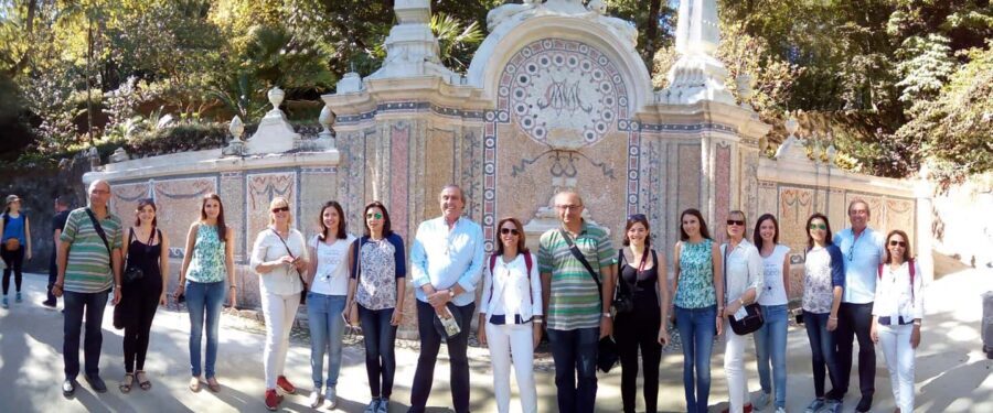Private Half Day tour Sintra Pena Palace & Initiantion Well - Keeping Sintra simple in a half-day private tour