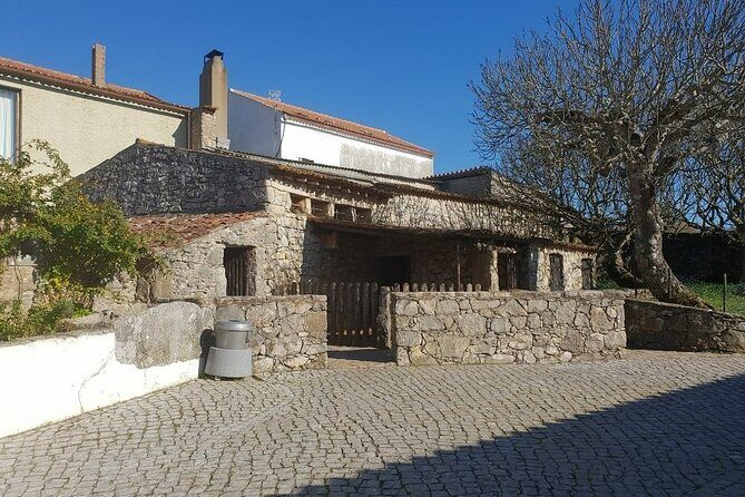 Private Half Day Tour to Fátima - Fátima Basilica and the tombs you came for