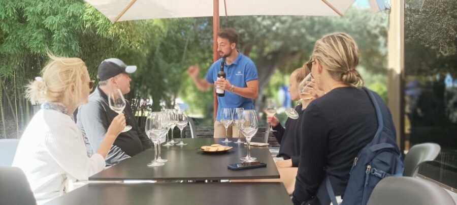 Private Lisbon Arrábida Wine Tour: Culture, Scenery & Wines - Key things that make this Arrábida tour worth your day